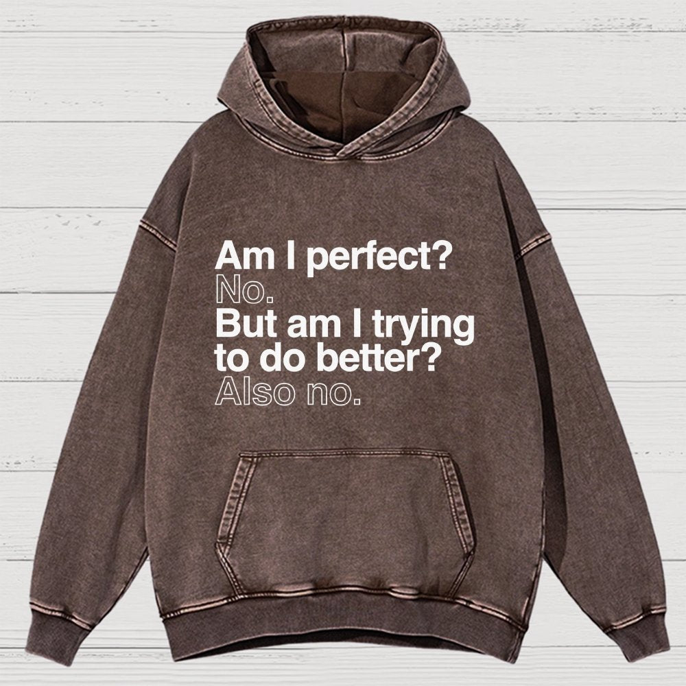 Am I Perfect No Vintage Distressed Hoodie