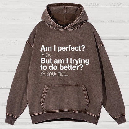Am I Perfect No Vintage Distressed Hoodie