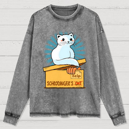 Schrodinger in a Box Washed Long Sleeve Tee