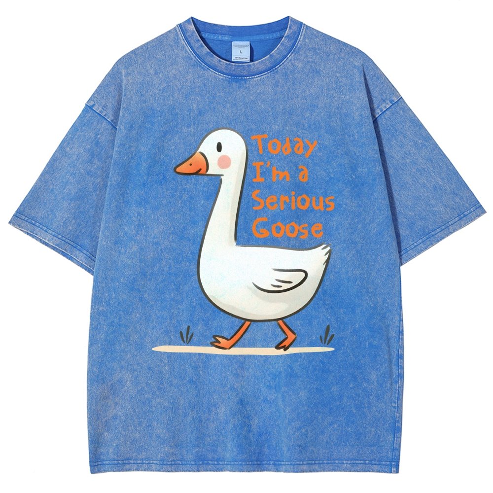 Today I’m A Serious Goose Vintage Distressed T-shirt