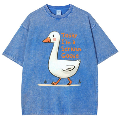 Today I’m A Serious Goose Vintage Distressed T-shirt