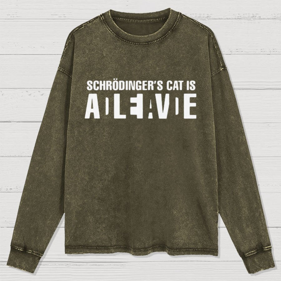 Schrödinger's Cat Adleiavde Washed Long Sleeve Tee