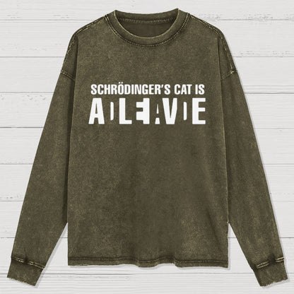 Schrödinger's Cat Adleiavde Washed Long Sleeve Tee