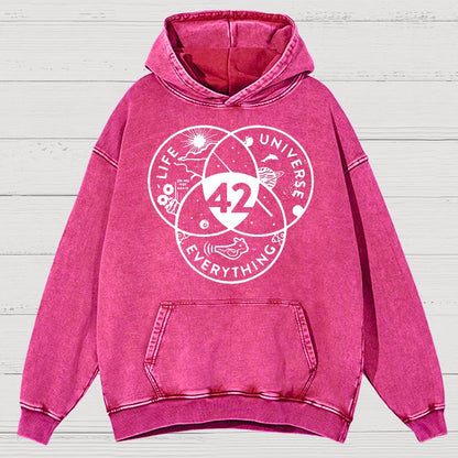 42 Answer To Life The Universe Vintage Distressed Hoodie