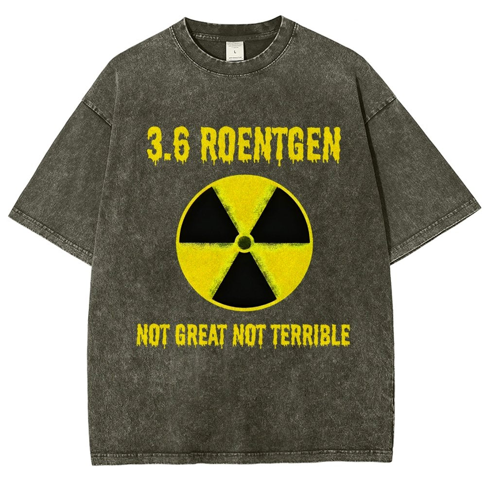 3.6 Roentgen Not Great Not Terrible Vintage Distressed T-shirt