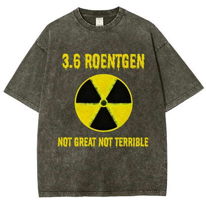 3.6 Roentgen Not Great Not Terrible Vintage Distressed T-shirt