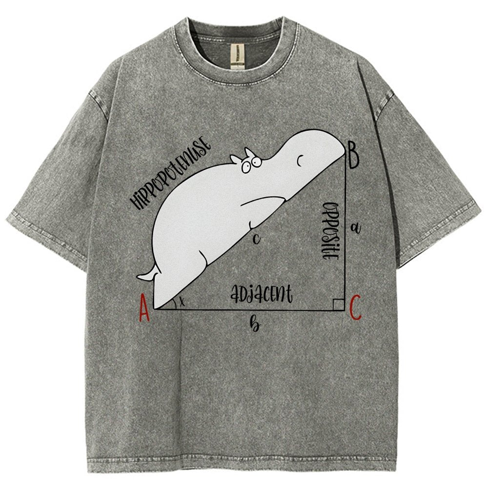 Interesting Math Teacher Math Lover Math Geek Vintage Distressed T-shirt