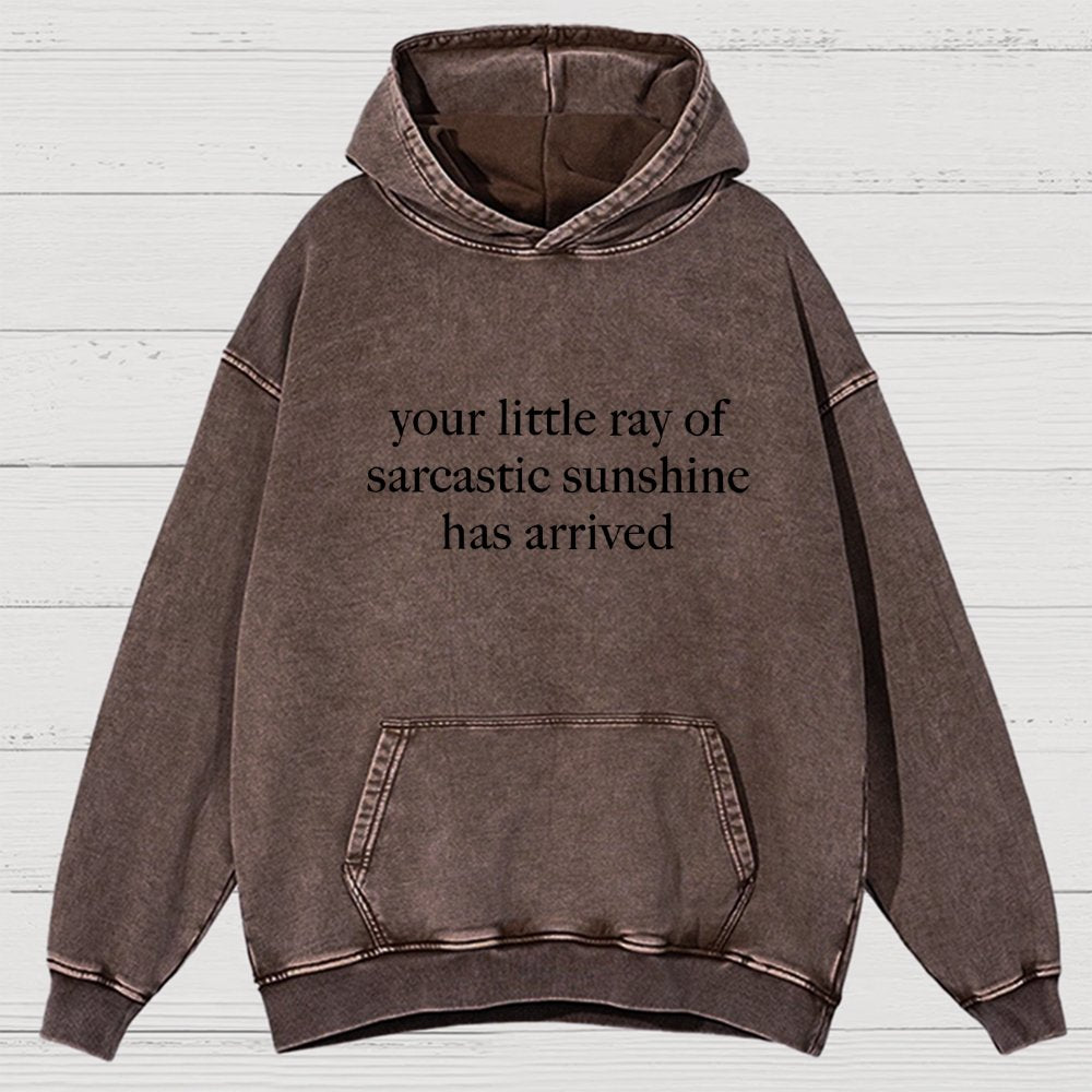 Your Little Ray of Sarcastic Sunshine Has Arrived -3 Vintage Distressed Hoodie