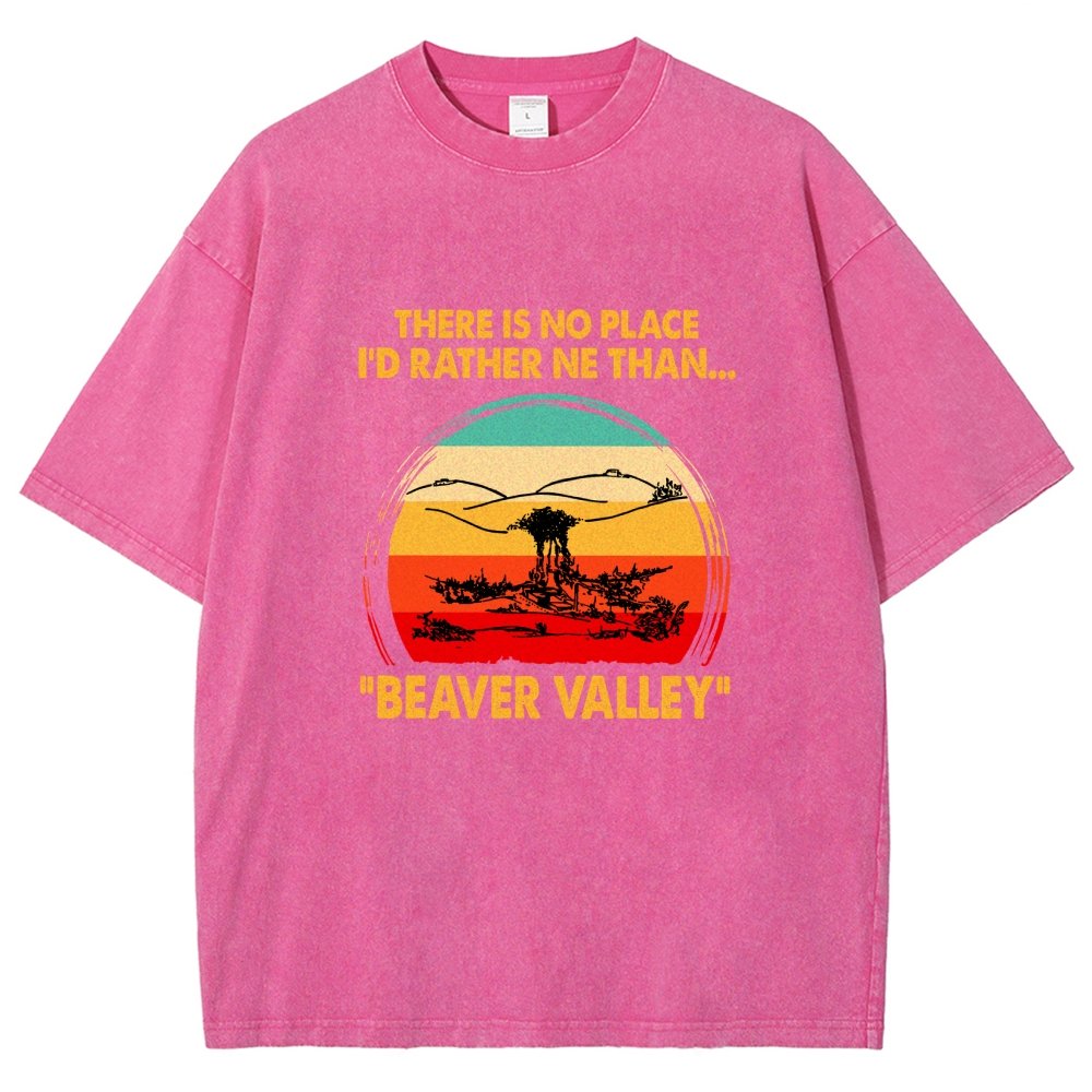 Beaver Valley Vintage Distressed T-shirt