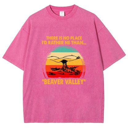Beaver Valley Vintage Distressed T-shirt