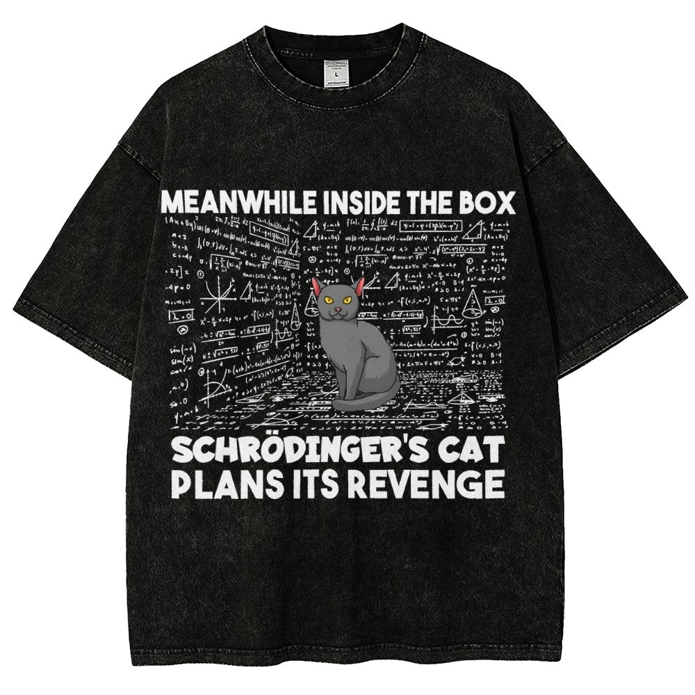 Inside The Box Schrödingers Cat Plans Its Revenge Vintage Distressed T-shirt