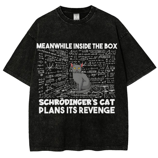 Inside The Box Schrödingers Cat Plans Its Revenge Vintage Distressed T-shirt