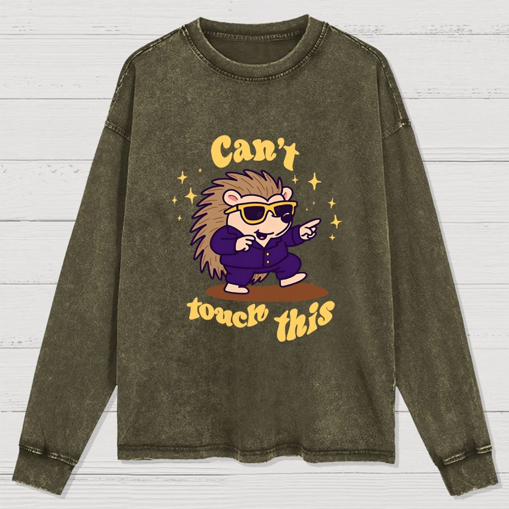 Can't touch this Washed Long Sleeve Tee