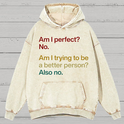 Am I Perfect ？No.Vintage Distressed Hoodie