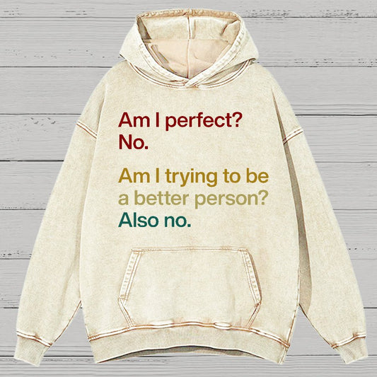 Am I Perfect ？No.Vintage Distressed Hoodie