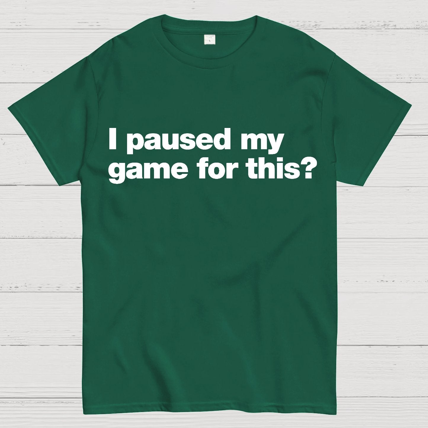 I Paused My Game For This?Geek T-Shirt