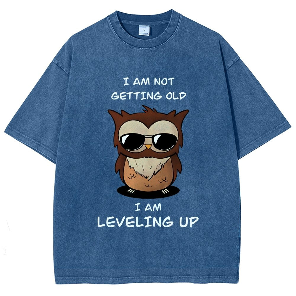 Leveling Up Vintage Distressed T-shirt
