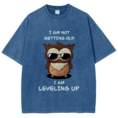 Leveling Up Vintage Distressed T-shirt