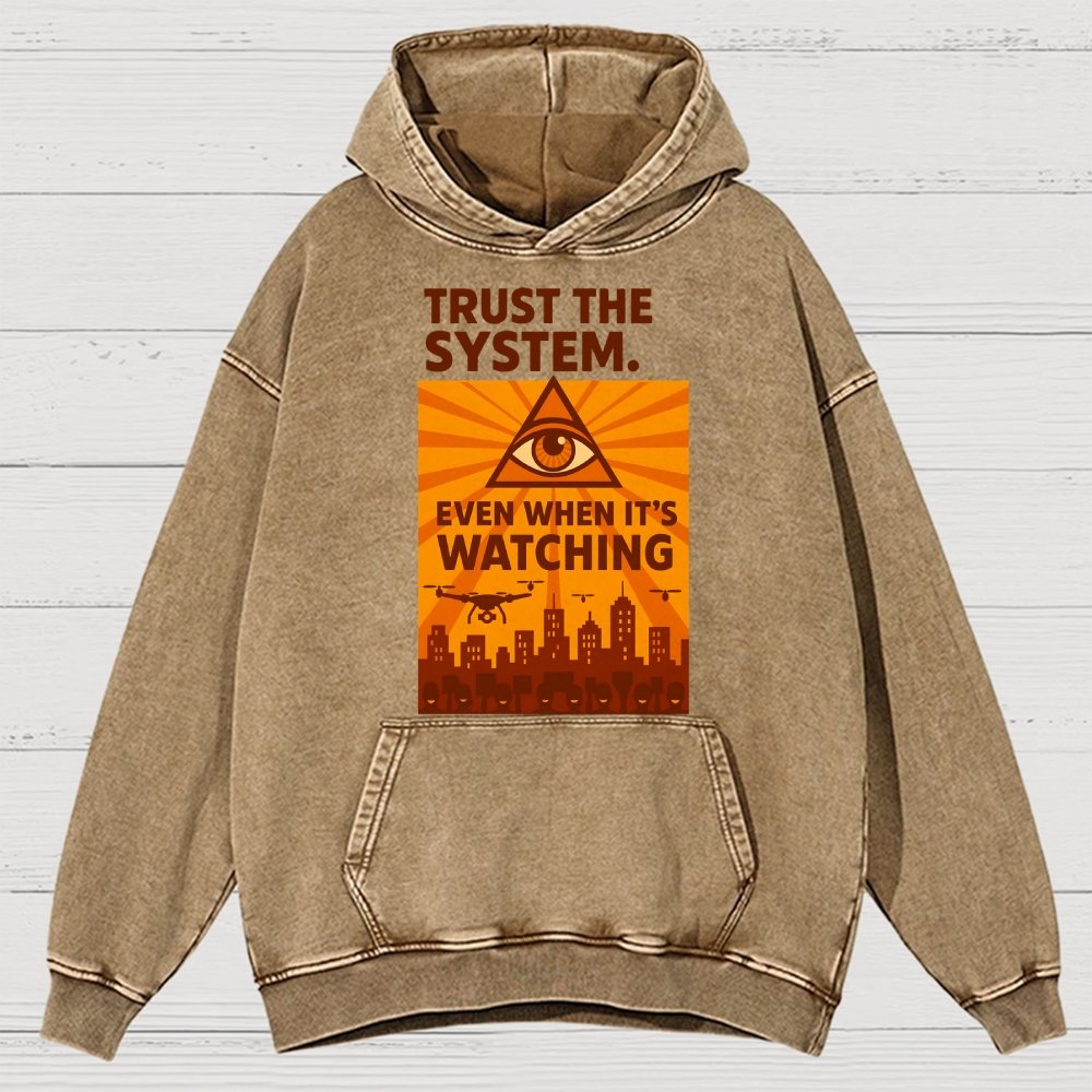 Trust The System - Dystopian Surveillance Vintage Distressed Hoodie