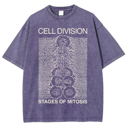 Cell Division- Stages of Mitosis Vintage Distressed T-shirt