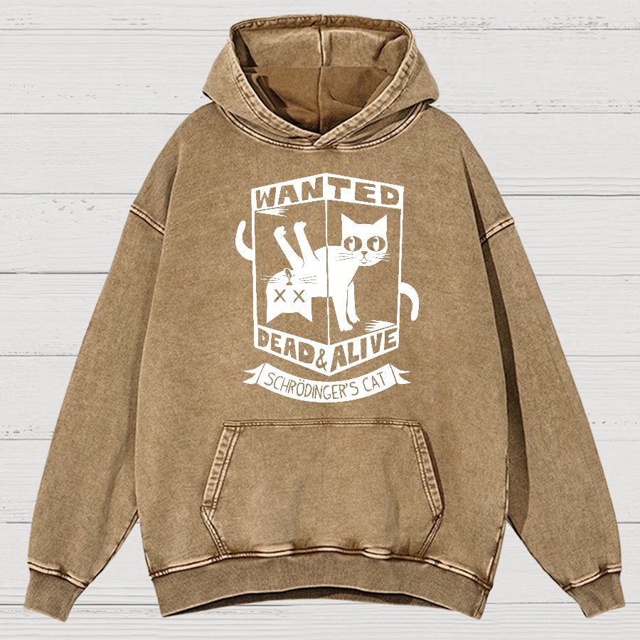 Schrödinger's Cat Mathe, Physics Vintage Distressed Hoodie