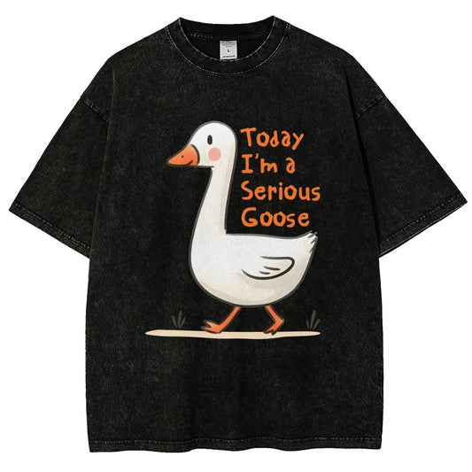Today I’m A Serious Goose Vintage Distressed T-shirt