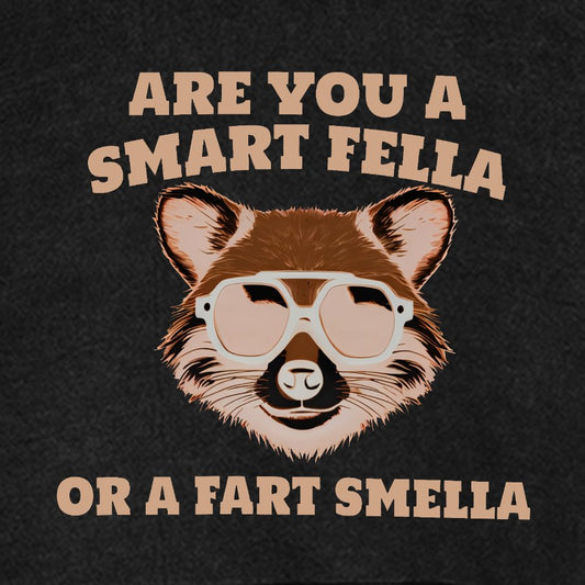 Are You A Smart Fella Or Fart Smella Vintage Distressed Hoodie