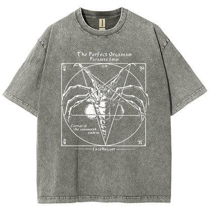 Mystery Pentagram Vintage Distressed T-shirt