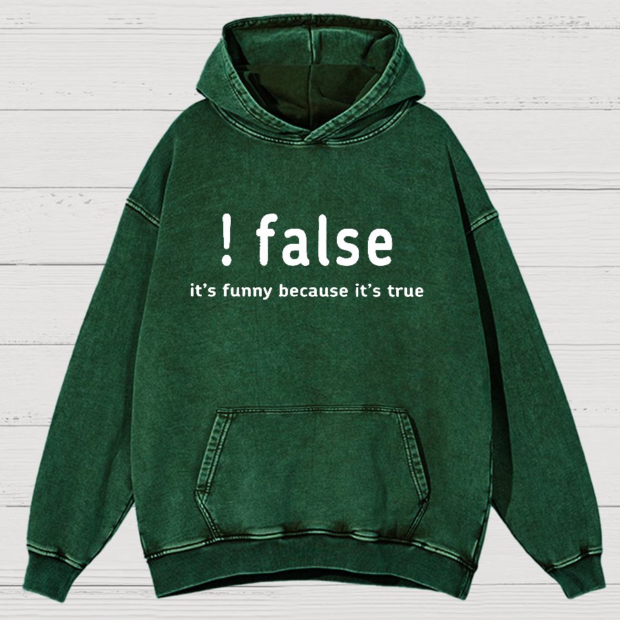 False It's Funny Because It's True Vintage Distressed Hoodie