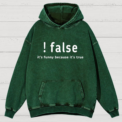 False It's Funny Because It's True Vintage Distressed Hoodie