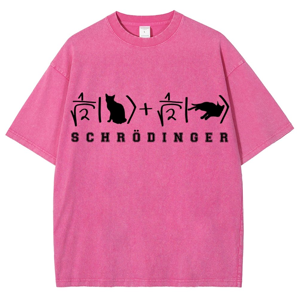 Schrödinger's Cat Vintage Distressed T-shirt
