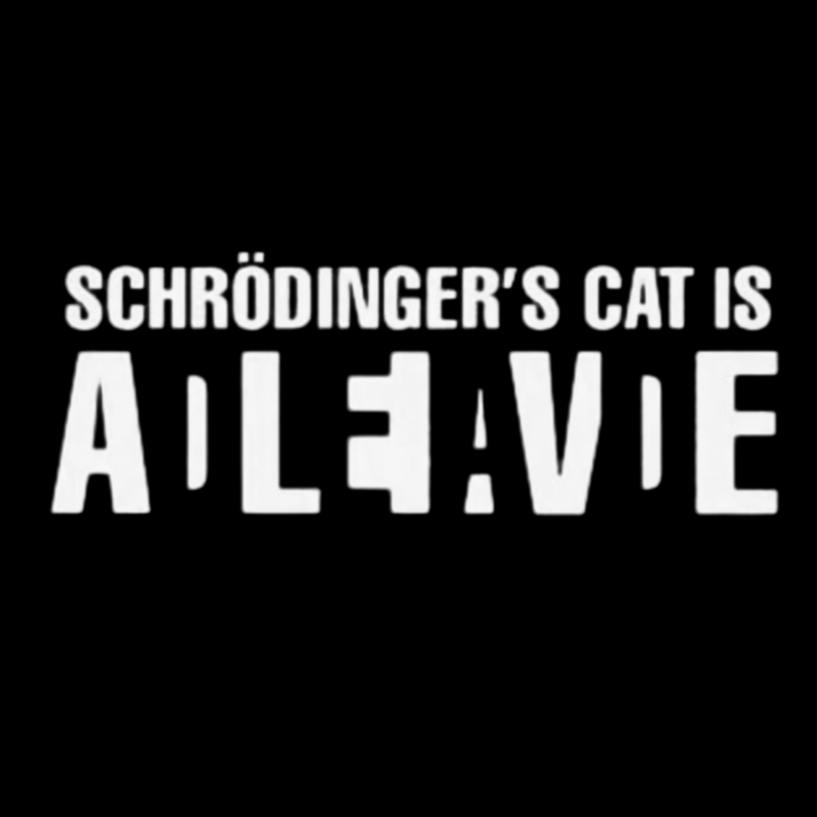 Schrödinger's Cat Adleiavde Geek Washed Long Sleeve Tee