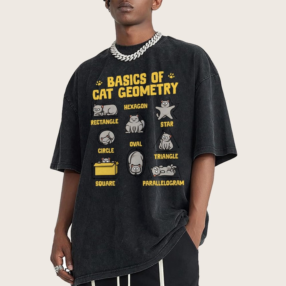 Basics of Cat Geometry Vintage Distressed T-shirt