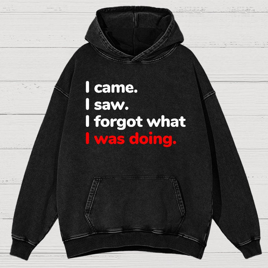 I Came. I Saw. I Forgot What I Was Doing Vintage Distressed Hoodie