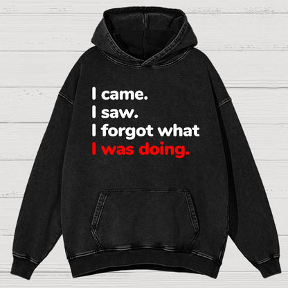 I Came. I Saw. I Forgot What I Was Doing Vintage Distressed Hoodie