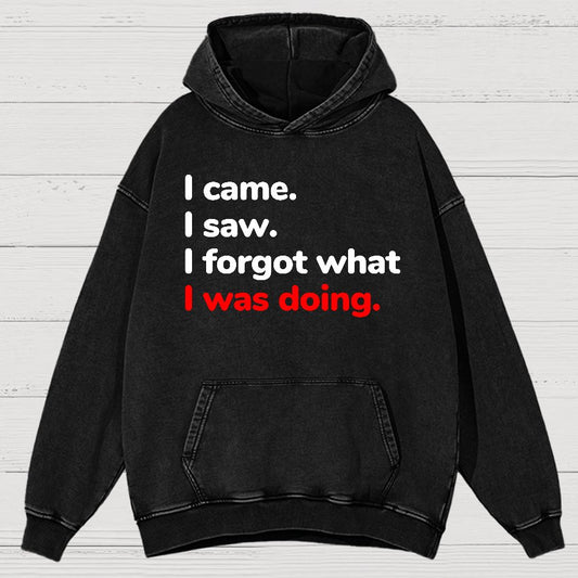 I Came. I Saw. I Forgot What I Was Doing Vintage Distressed Hoodie
