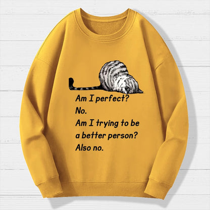 Am I Perfect No Geek Cotton Sweatshirt