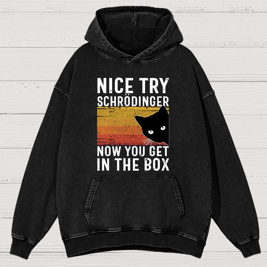 You Get Schrodinger's cat In The Box Vintage Distressed Hoodie