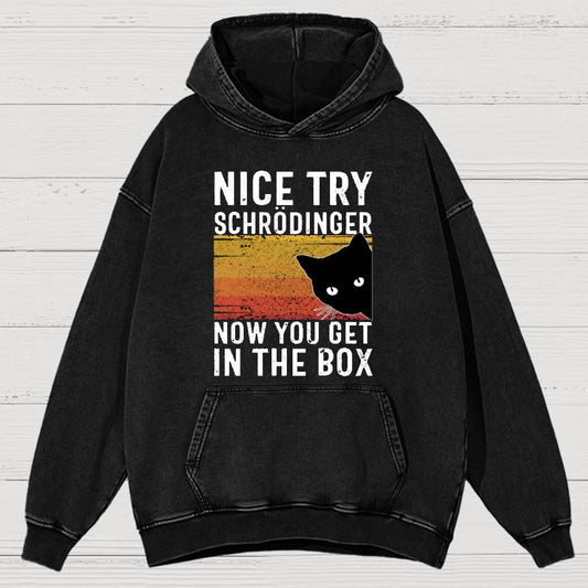 You Get Schrodinger's cat In The Box Vintage Distressed Hoodie