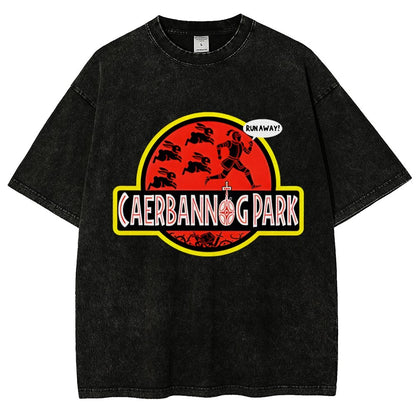 Greenwood Park Vintage Distressed T-shirt