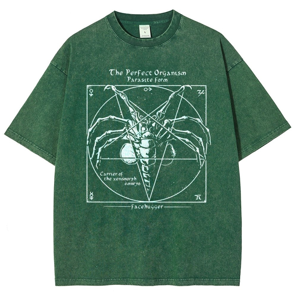 Mystery Pentagram Vintage Distressed T-shirt