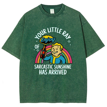 Your Little Ray of Sarcastic Sunshine Has Arrived Vintage Distressed T-shirt