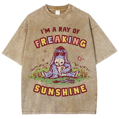 A Freaking Ray Of Sunshine Vintage Distressed T-shirt