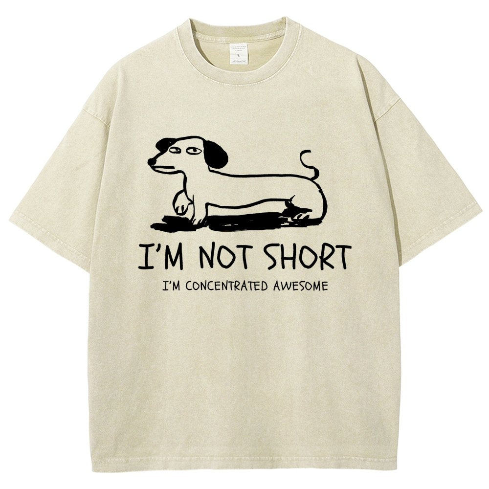 I'm Not Short Vintage Distressed T-shirt