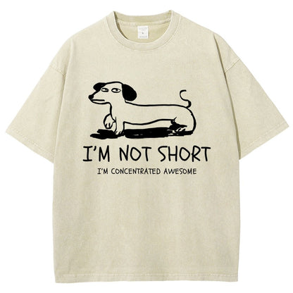 I'm Not Short Vintage Distressed T-shirt