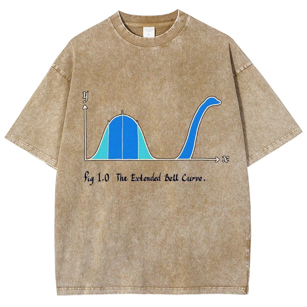 The Extended Bell Curve Vintage Distressed T-shirt
