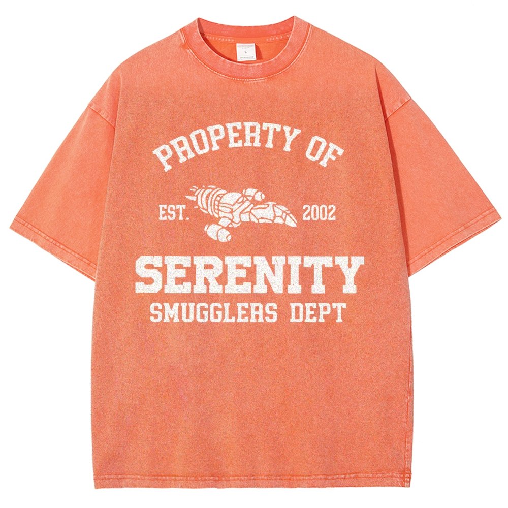 Property of Starlight Vintage Distressed T-shirt