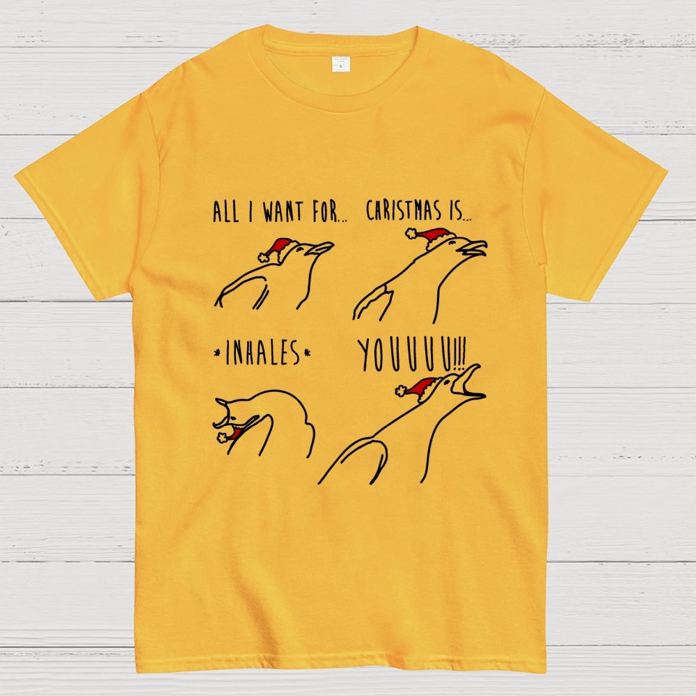 All I Want For Christmas Is You Geek T-Shirt