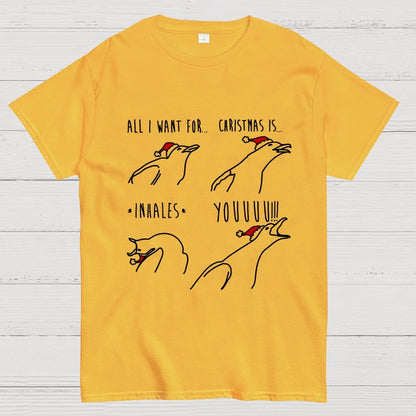 All I Want For Christmas Is You Geek T-Shirt