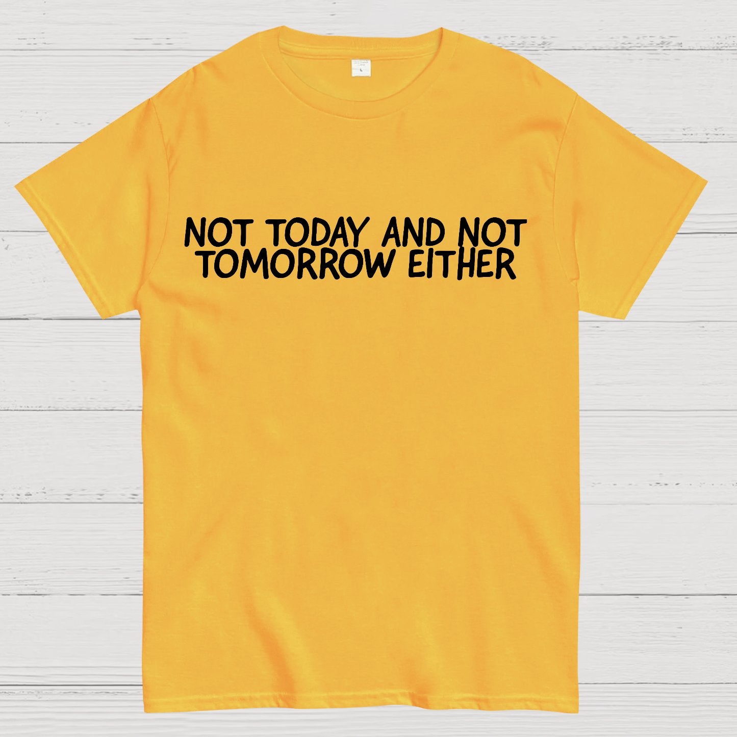 Not Today And Not Tomorrow Either Geek T-Shirt